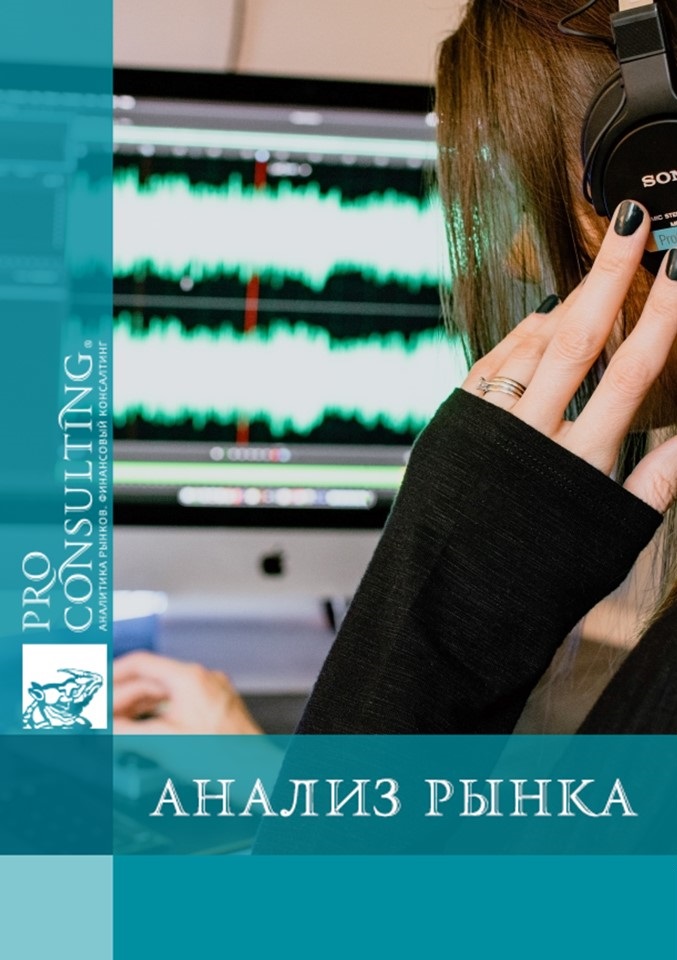 Анализ рынка систем аудиоаналитики в Украине. 2024 год